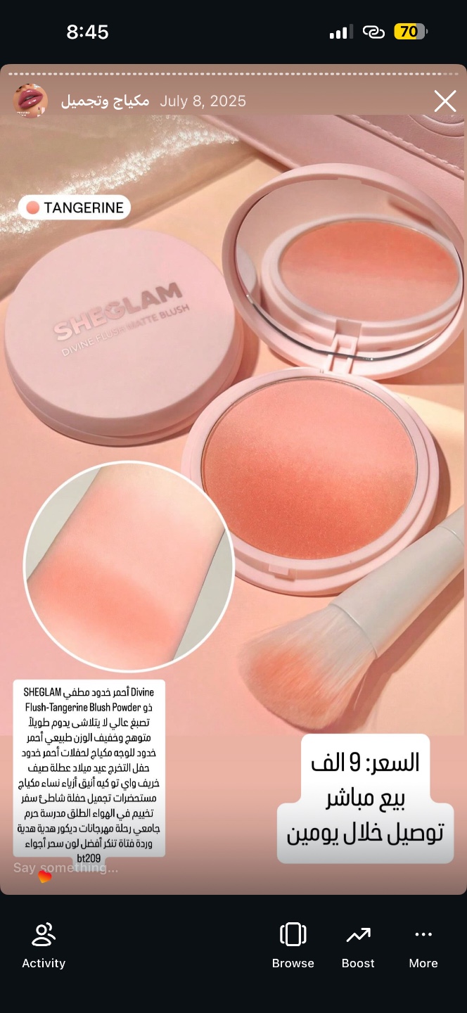 أحمر خدود مطفي SHEGLAM Divine Flush بلون Tangerine